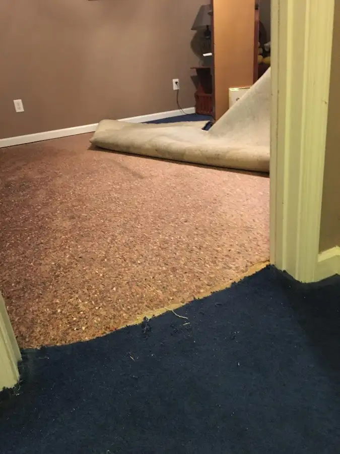 Carpet pad removal revealing water damage during Drying & Dehumidification in Hollywood