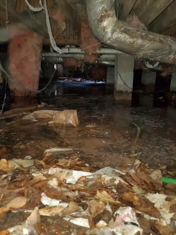 Crawl space flood assessment for Leak Detection & Repair in Hollywood
